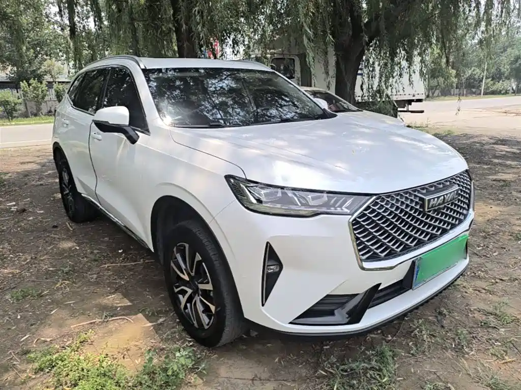 Haval H6 2021 3rd Gen 1.5T Auto 2WD Pro фото 4
