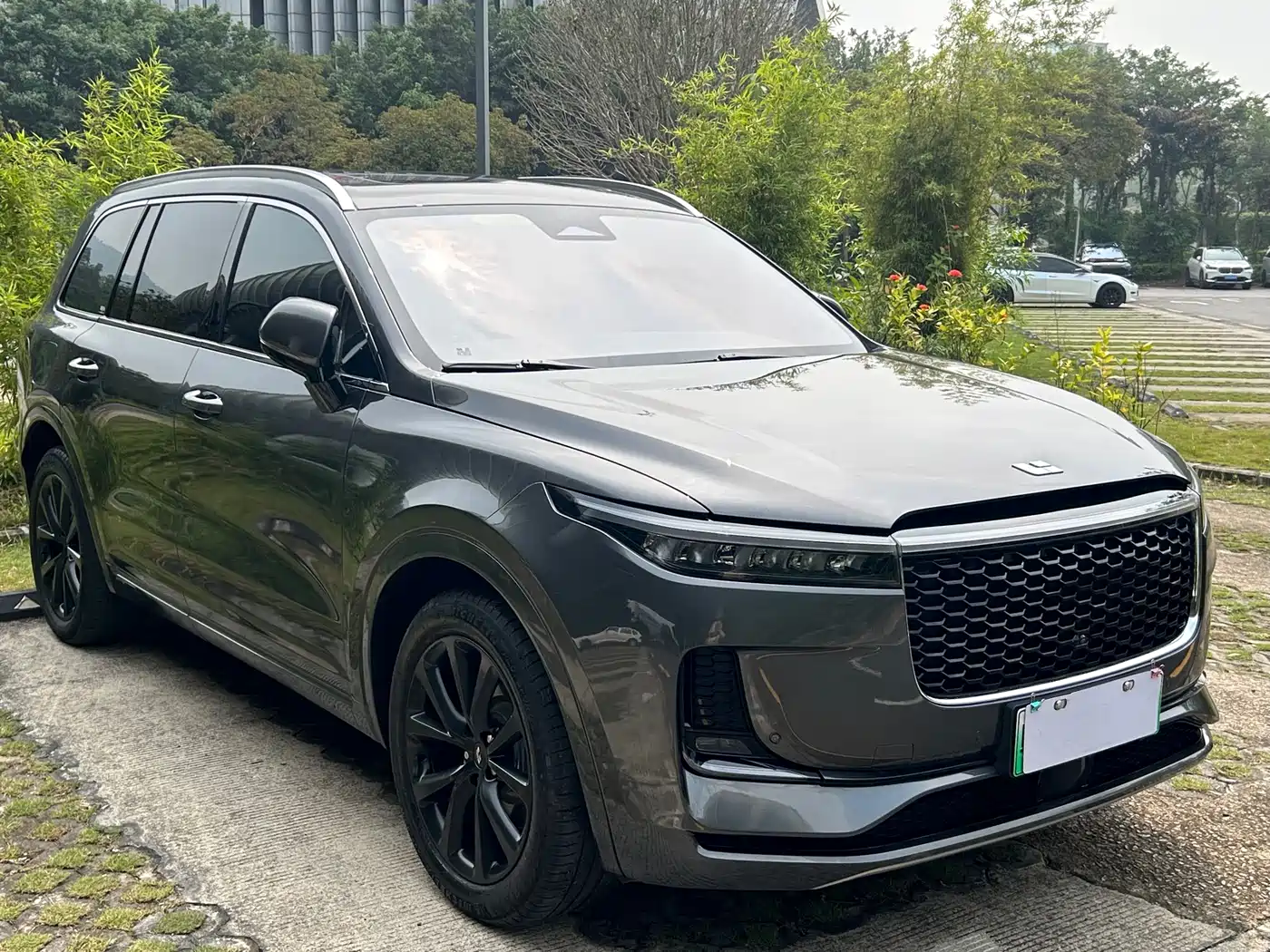 Фото 3 - Li Auto Li ONE