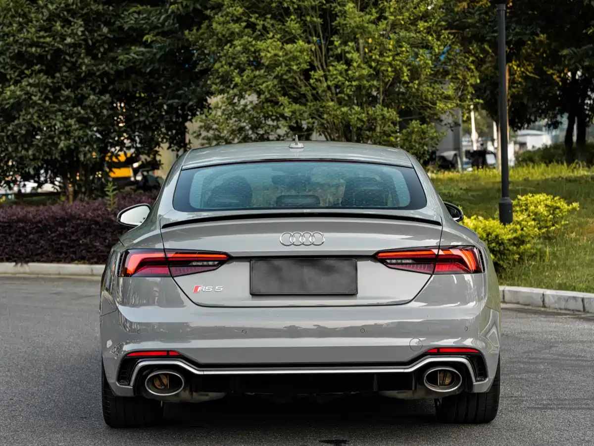 Audi RS 5 2020 2019 RS 5 2.9T Sportback
