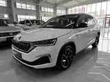 Фото 1 - Škoda Kamiq