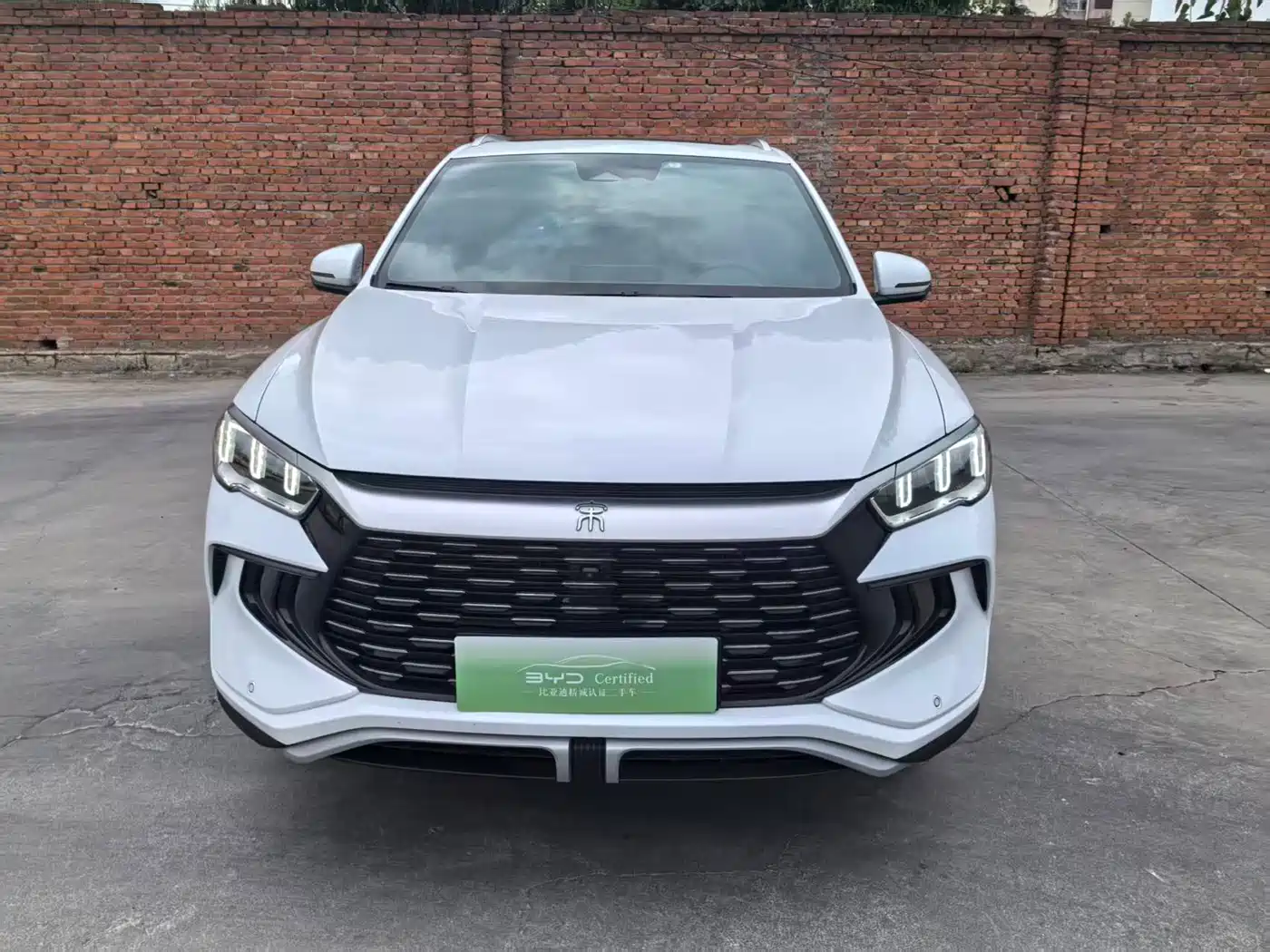 BYD Song Pro New Energy 2024 Glory Edition DM-i 71KM Surpassing фото 3