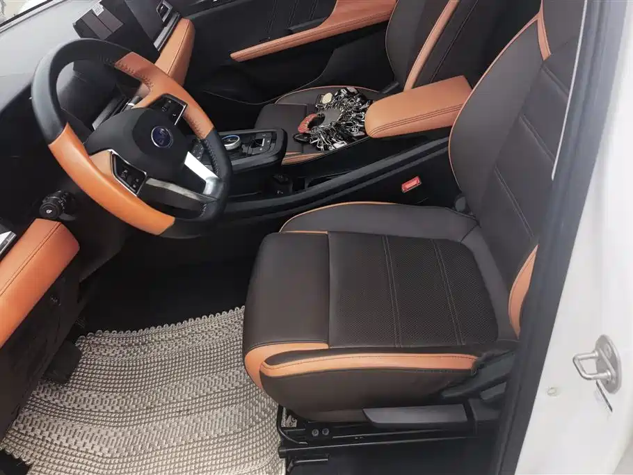 BYD e2 2021 Luxury Edition фото 9