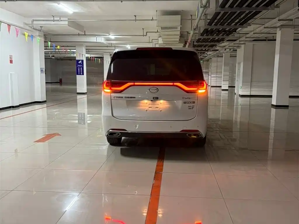 GAC Trumpchi Trumpchi M8 2018 320T Premium Edition фото 8