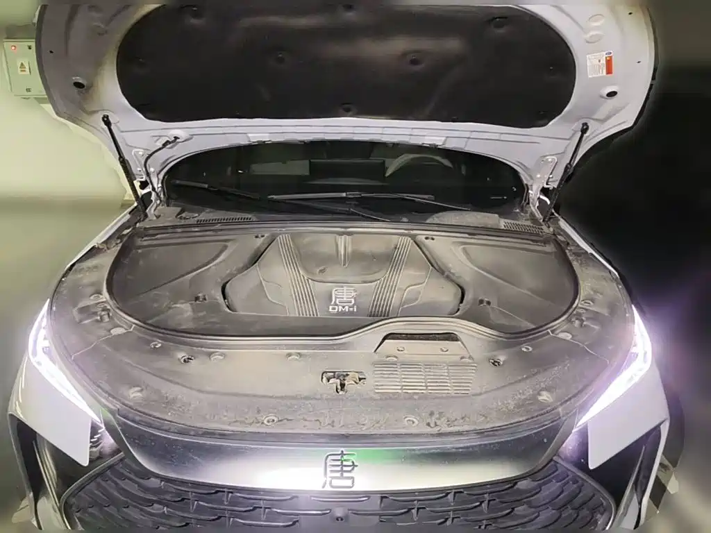 BYD Tang New Energy 2025 2025 Smart Driving Edition DM-i 115KM Flagship