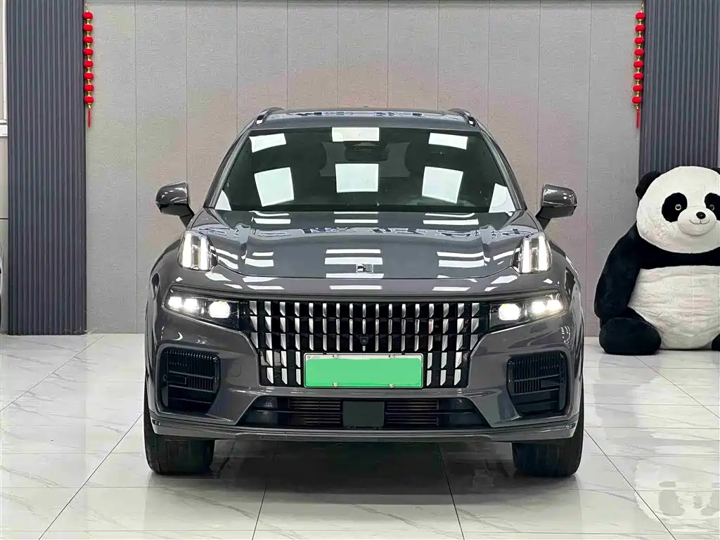 Lynk & Co 09 EM-P 2023 2.0TD EM-P Long Range PM 6-Seater фото 2
