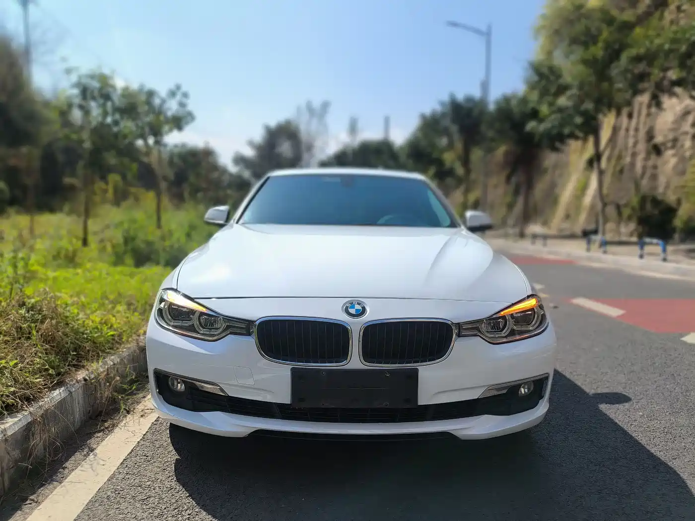 BMW 3 Series 2017 320Li Fashion фото 2