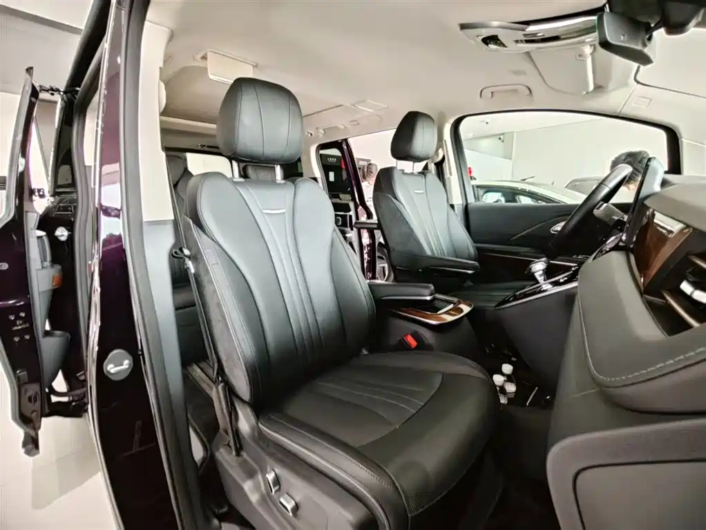 Hongqi HQ9 PHEV 2024 Model 2.0T AWD Luxury Edition фото 11