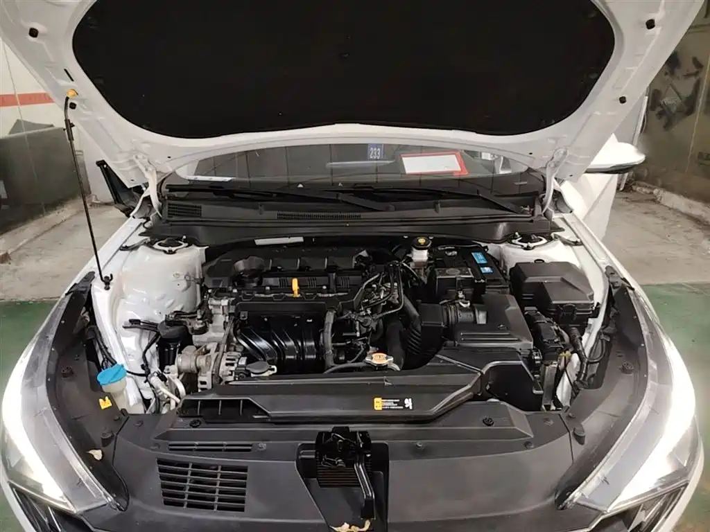 Hyundai Elantra 2021 1.5L CVT LUX Premium Edition фото 20