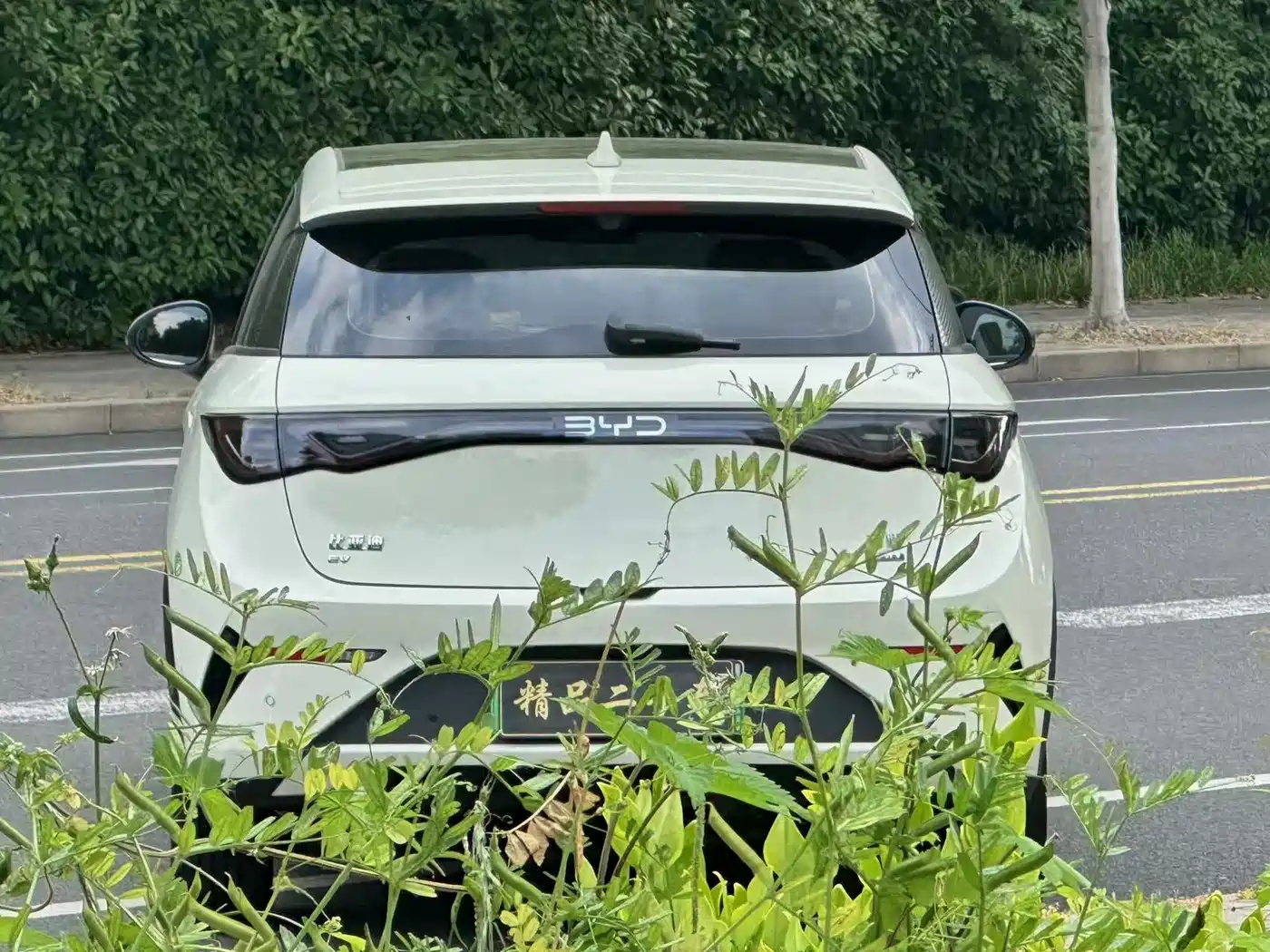 BYD Dolphin 2025 Smart Drive Edition 410km Fashion Version фото 8