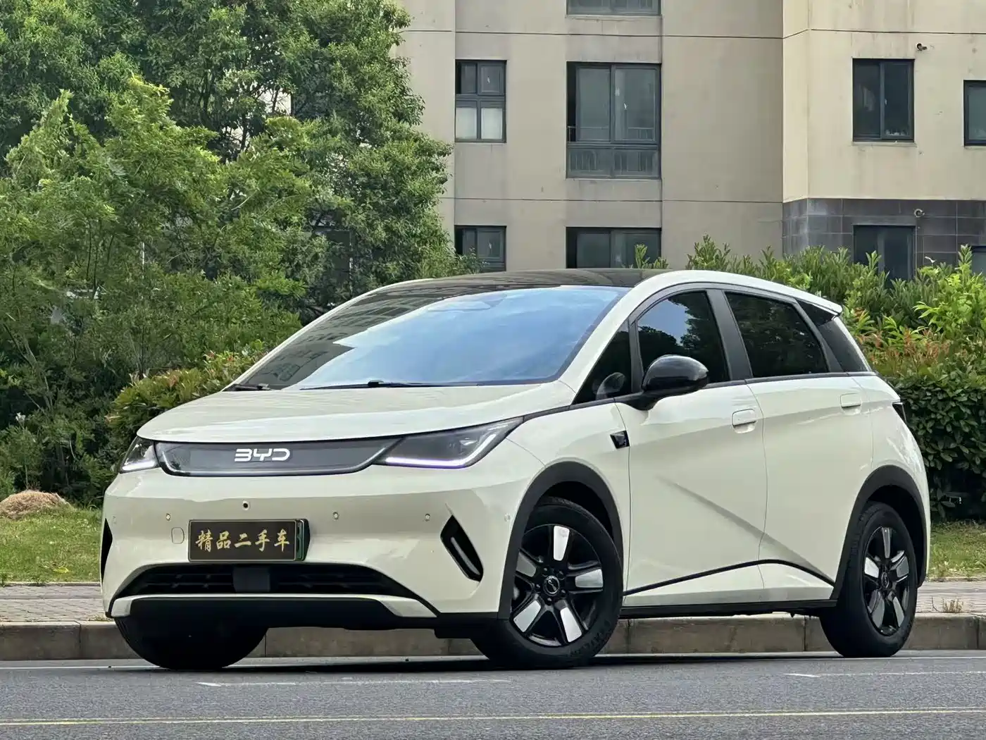 BYD Dolphin 2025 Smart Drive Edition 410km Fashion Version