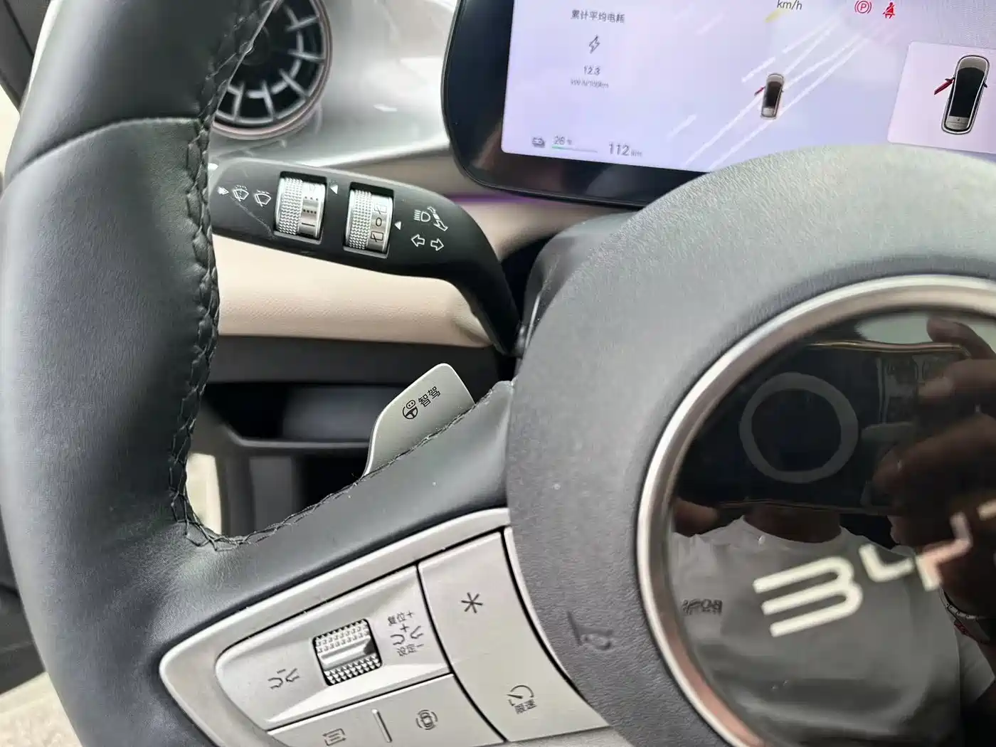 BYD Dolphin 2025 Smart Drive Edition 410km Fashion Version фото 18