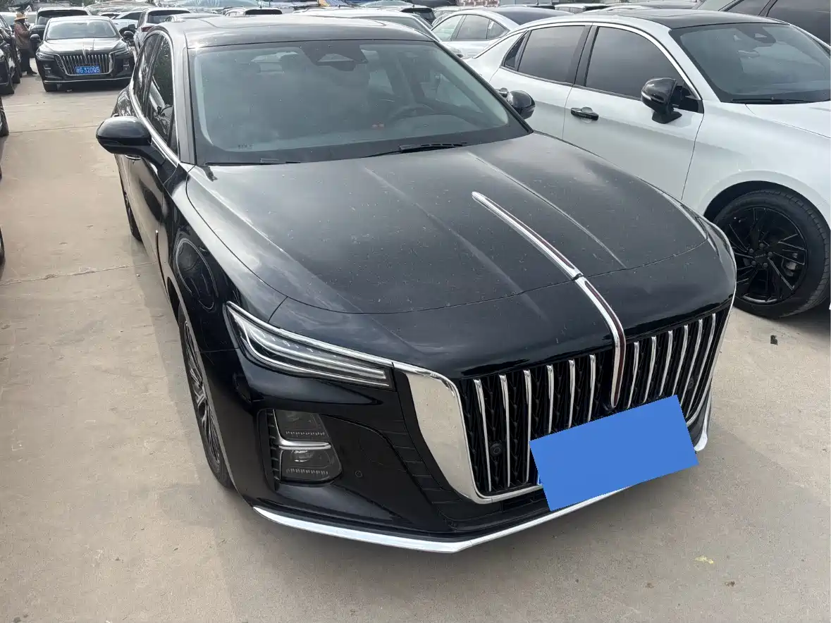 Hongqi H5 2025 2.0T Automatic Flag Celebration 500,000 Units Anniversary Edition фото 3