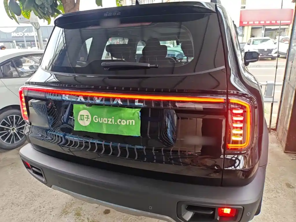 Haval Big Dog 2025 2024 1.5T DCT Border Collie Edition