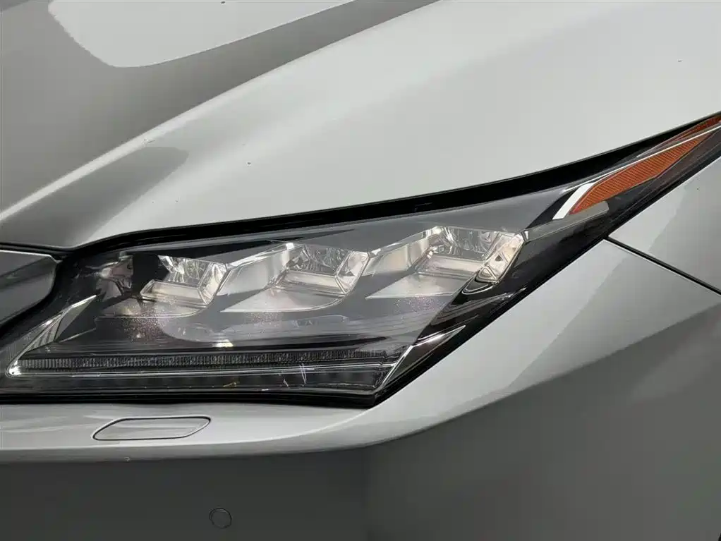 Lexus RX 2016 300 4WD Elegance Edition (China V) фото 12
