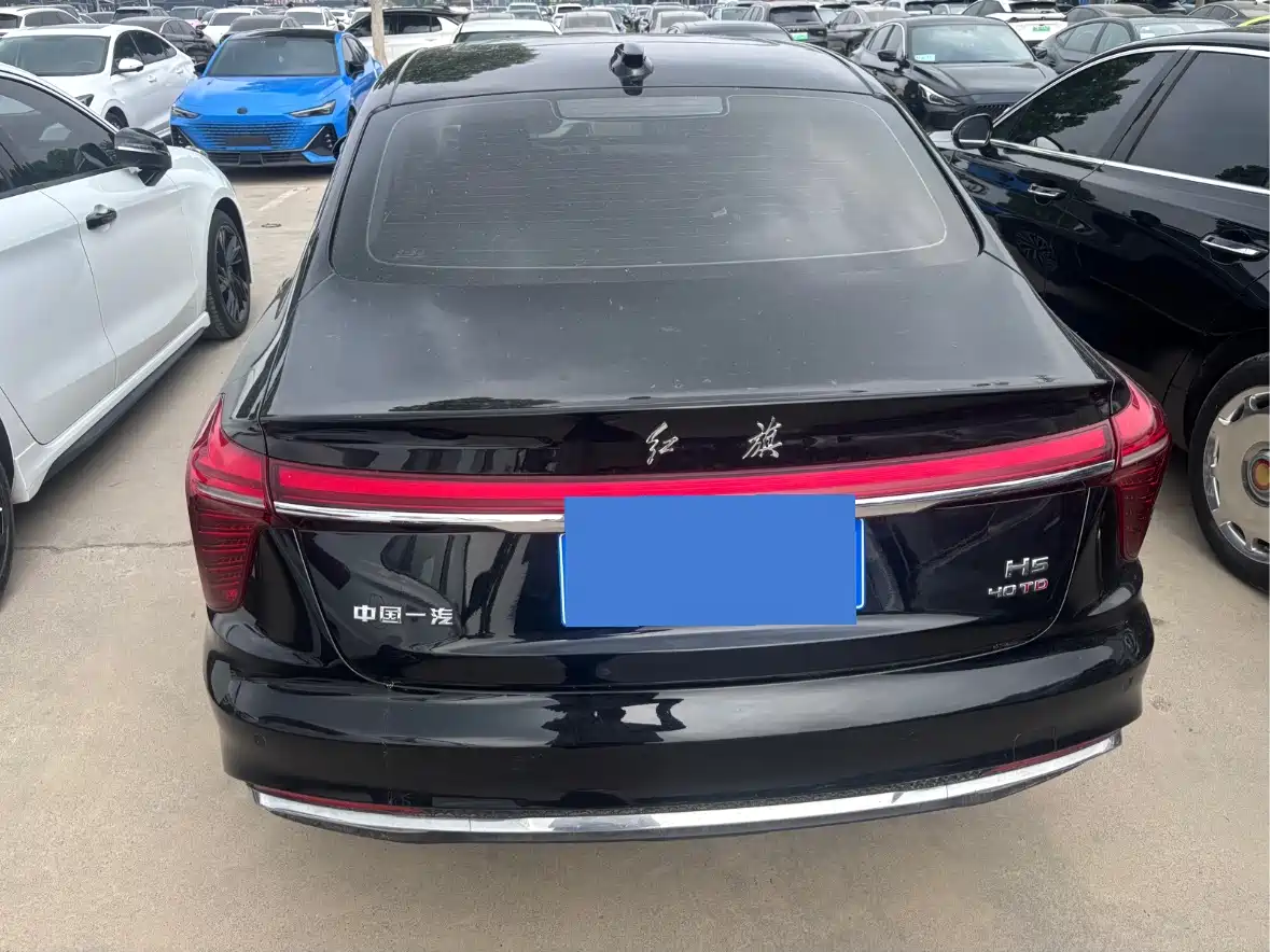 Hongqi H5 2025 2.0T Automatic Flag Celebration 500,000 Units Anniversary Edition фото 8