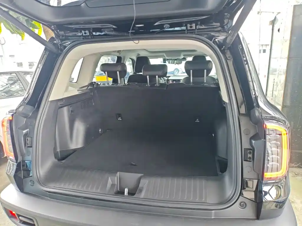 Haval Big Dog 2025 2024 1.5T DCT Border Collie Edition