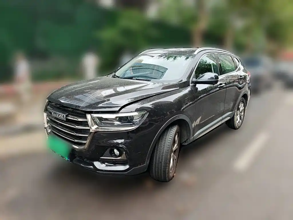  Haval Haval H6 2021 National Trend Edition 1.5GDIT Automatic Champion Edition
