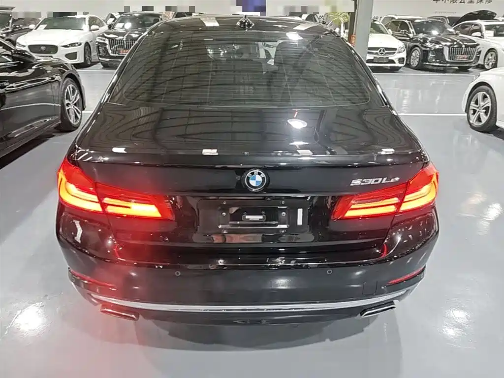BMW 5 Series New Energy 2019 Facelift 530Le Luxury Package фото 6