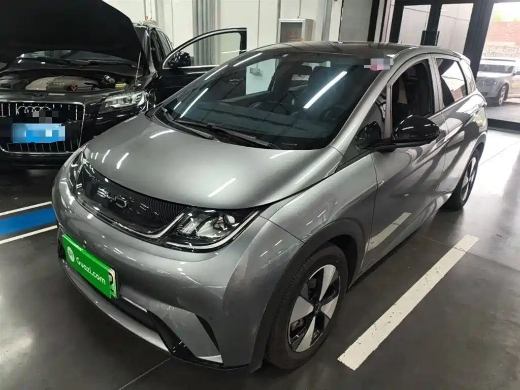 BYD Dolphin 2023 420km Fashion Edition фото 2