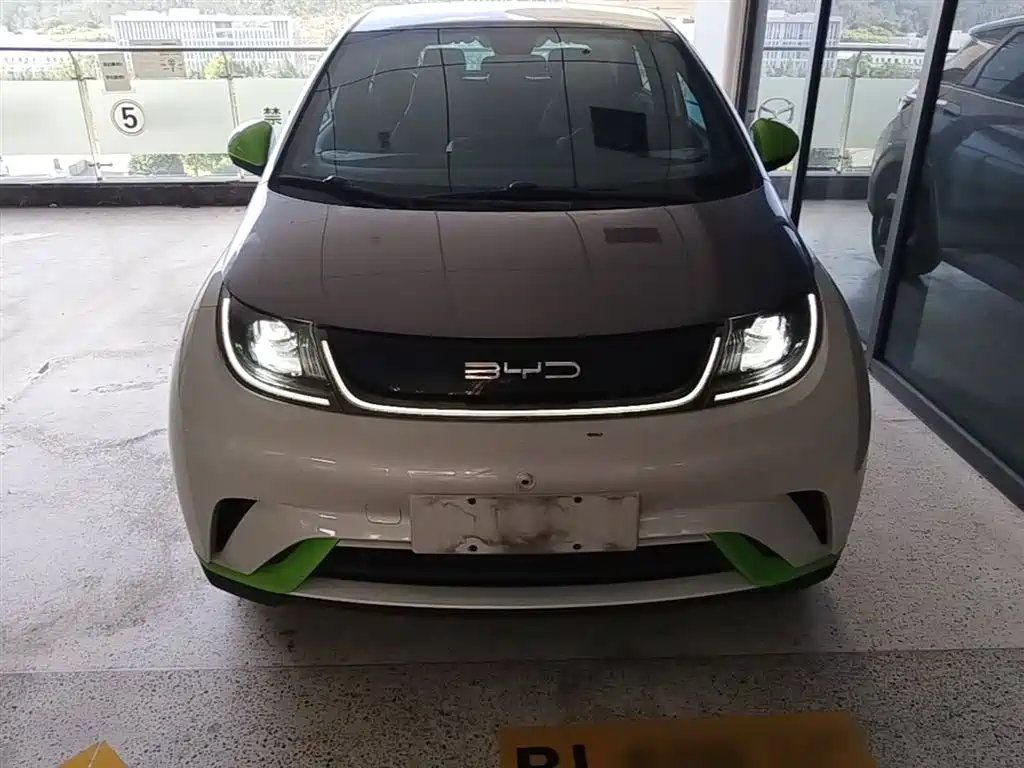 BYD Dolphin 2021 Model 405km Fashion Edition фото 3