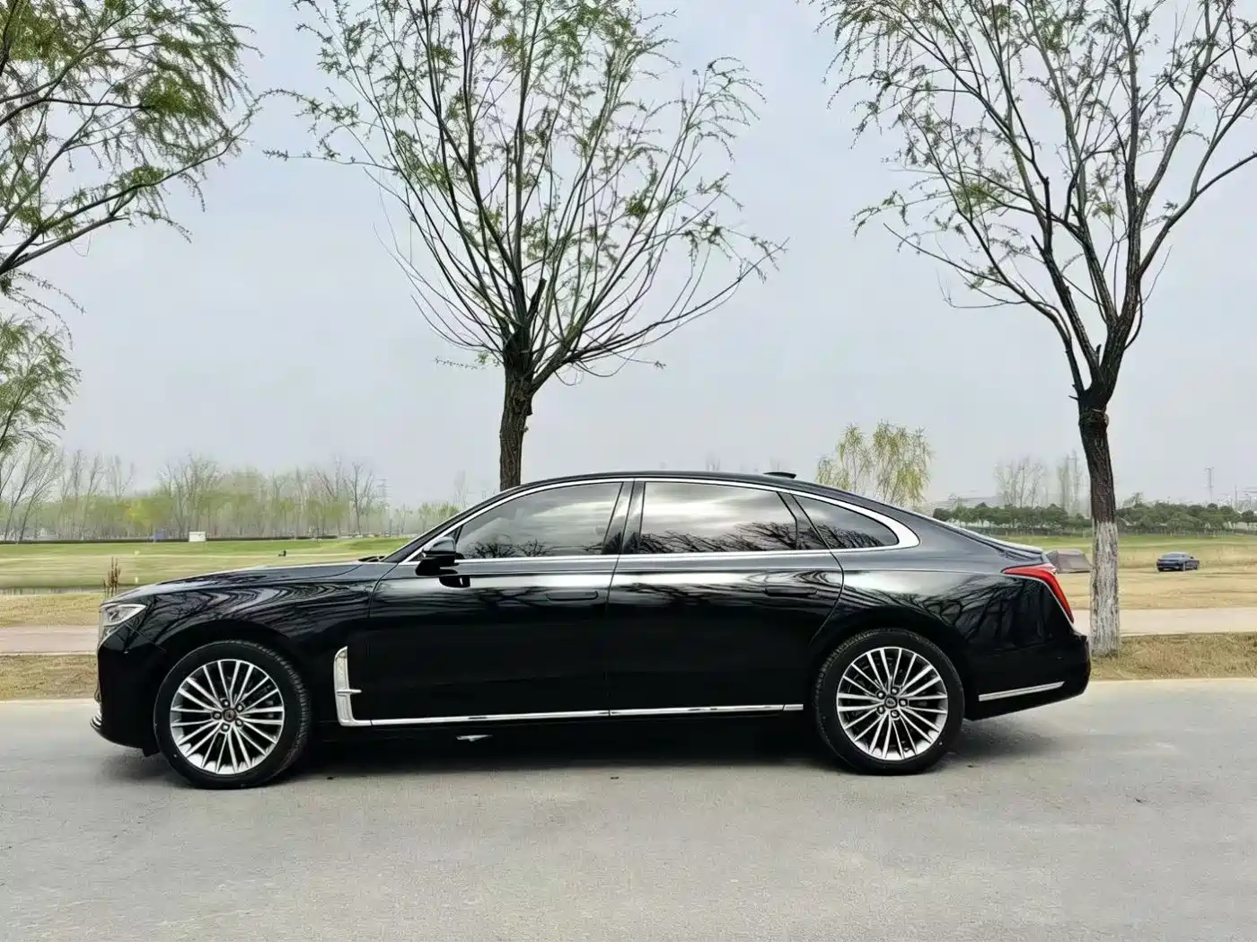 Hongqi HONGQI H9