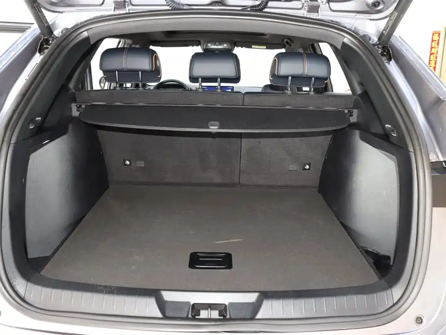 BYD SONGJIANG NEW ENERGY