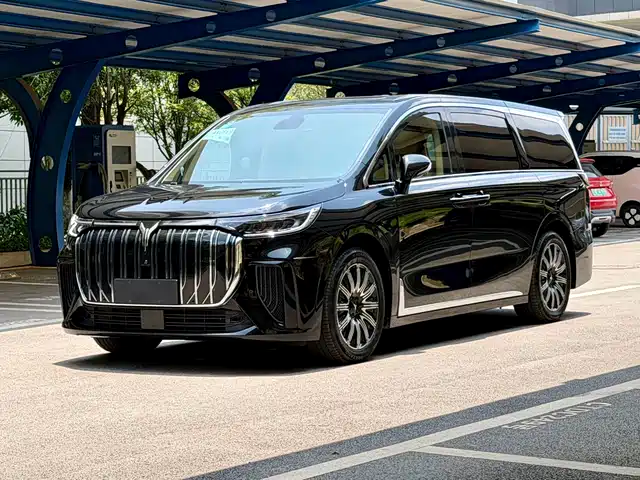  Voyah Auto Voyah Dreamer