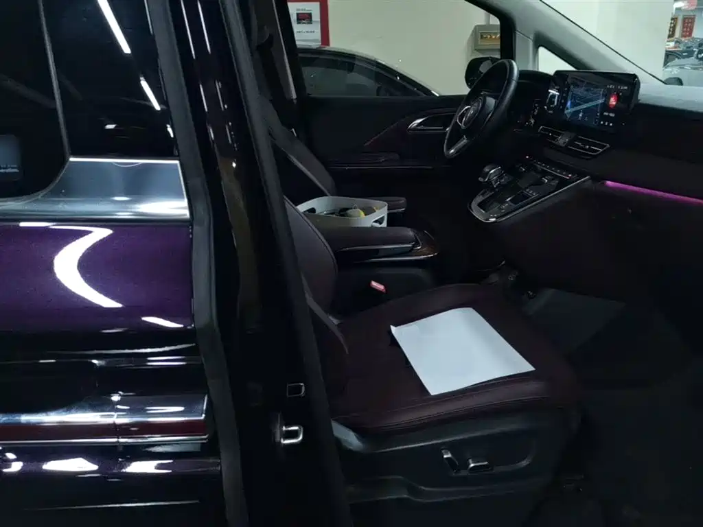 Hongqi HQ9 2023 2.0T Smart Connect Flag Smooth Edition фото 25