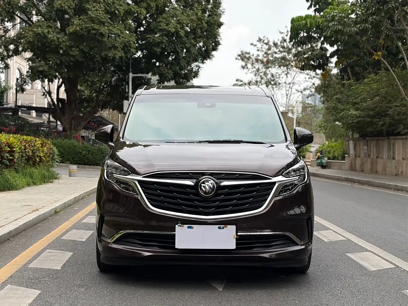Buick GL8 2021 ES Landlord 653T Premium фото 3