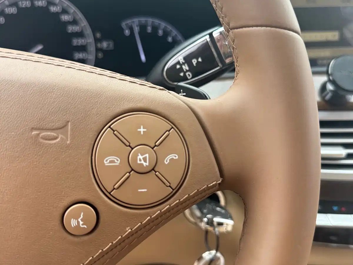 Mercedes-Benz S-Class 2012 S 300 L Business Grand Edition фото 21