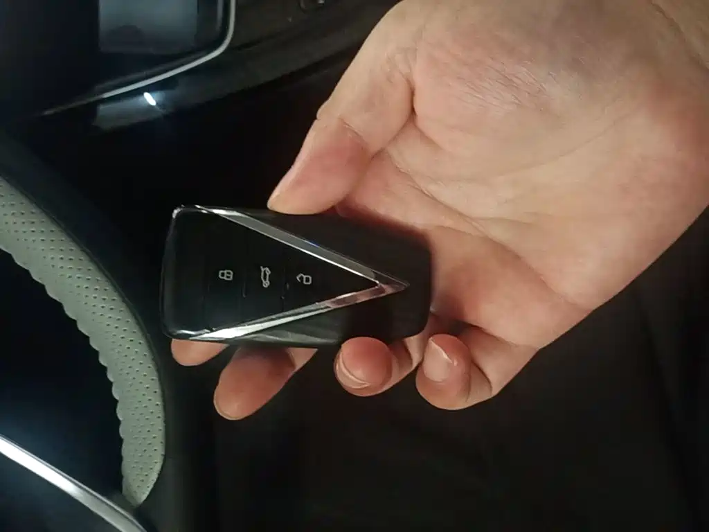 Venucia DaV DD-i 2023 2023 110km iE Edition