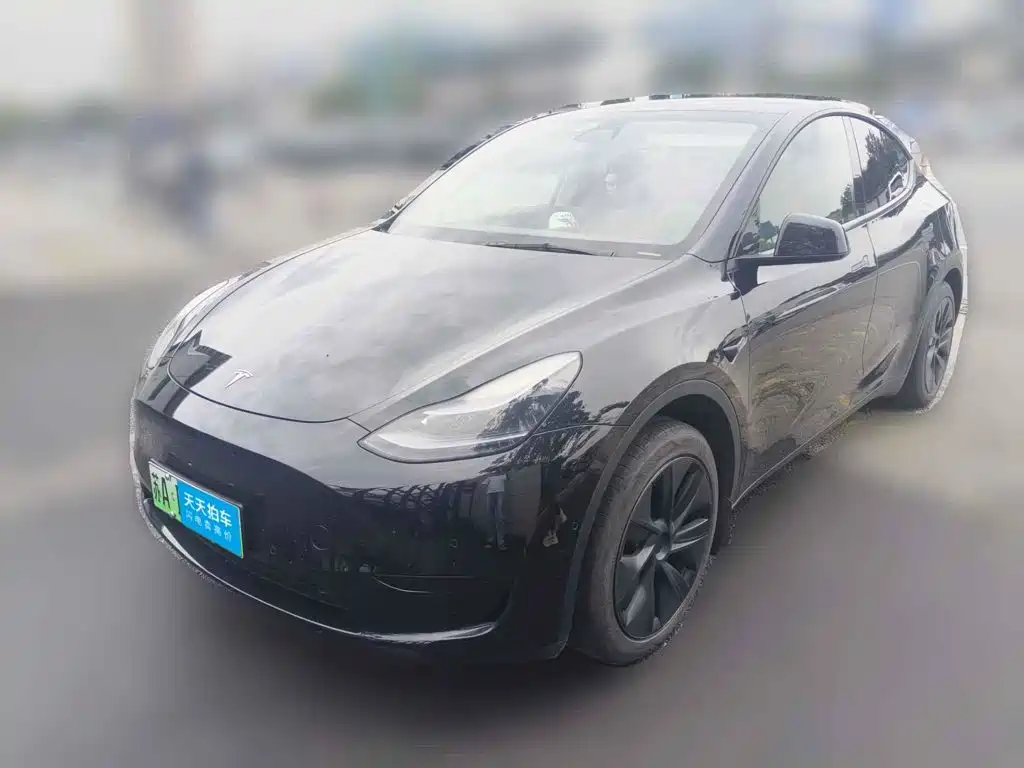 Tesla Model Y 2023 Rear-Wheel Drive Edition