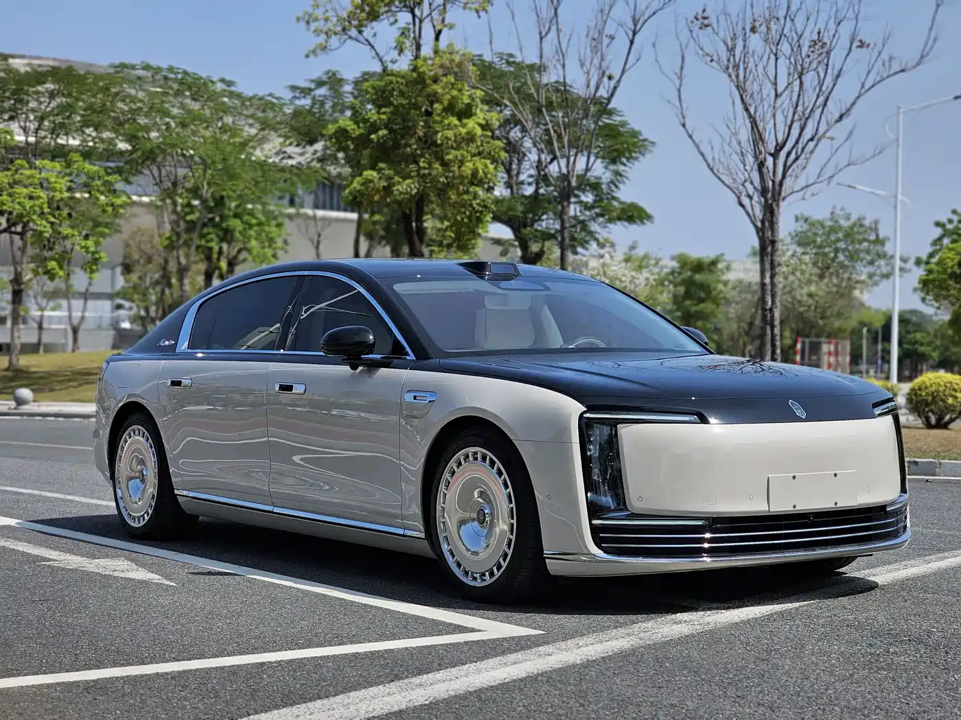 Zunjie S800 2025 Range Extender Starlight Executive 4-Seater фото 3
