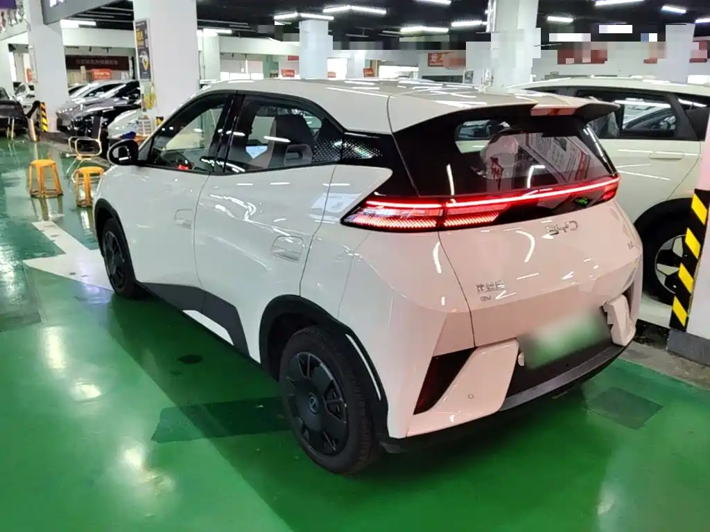 BYD Seagull 2026 2025 Smart Drive Edition 305km Vitality Version