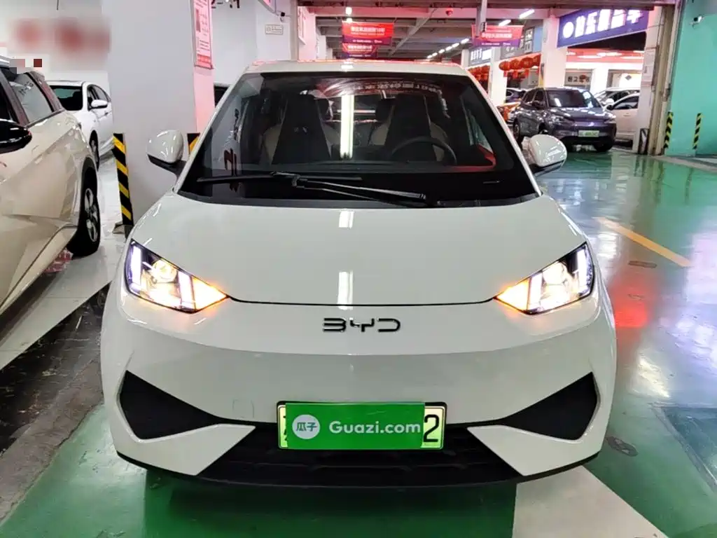 BYD Seagull 2026 2025 Smart Drive Edition 305km Vitality Version