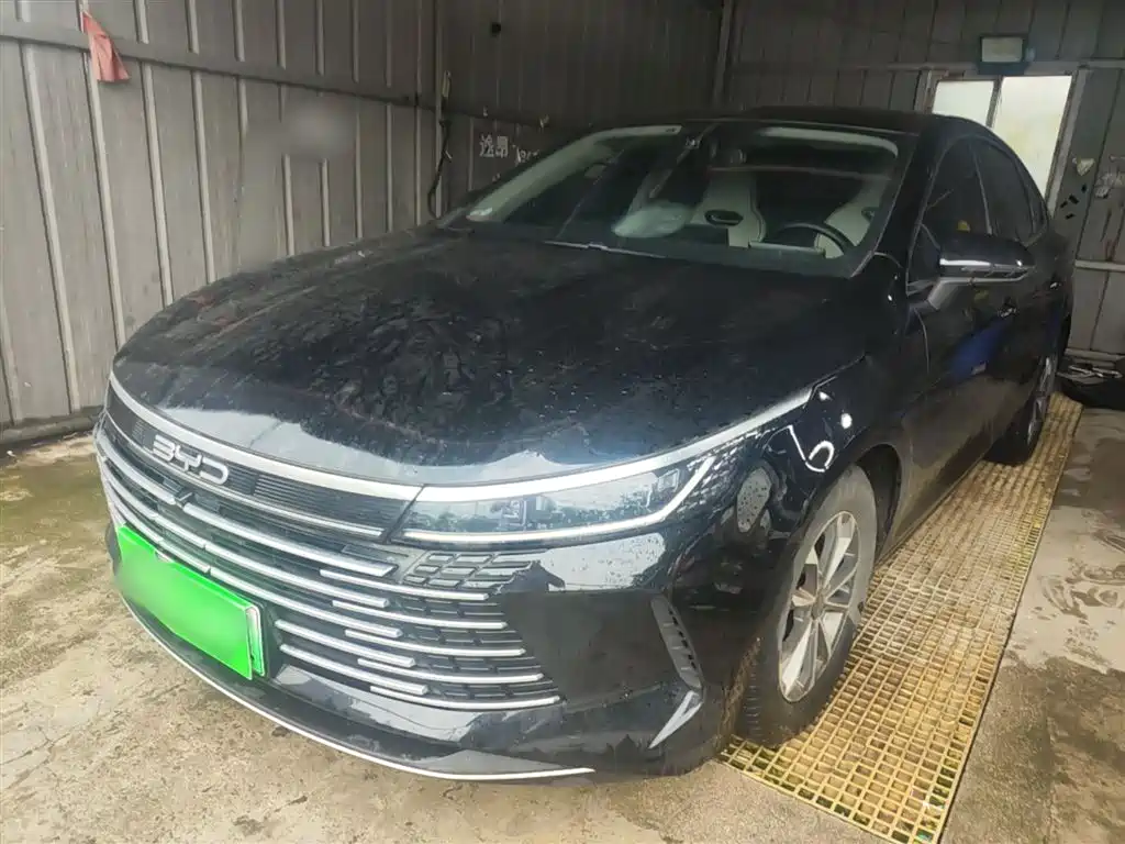 BYD Destroyer 05 2024 Glory Edition DM-i 55KM Luxury