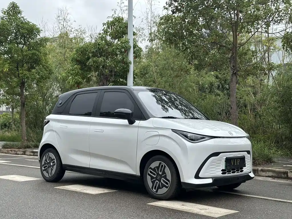 QQ New Energy Duomi 2025 2025 305km Comfort Edition