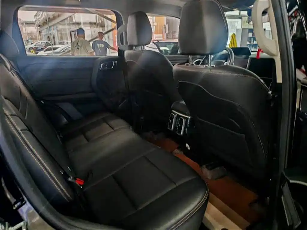 Haval Big Dog 2024 2.0T DCT Chinese Rural Dog Edition фото 3