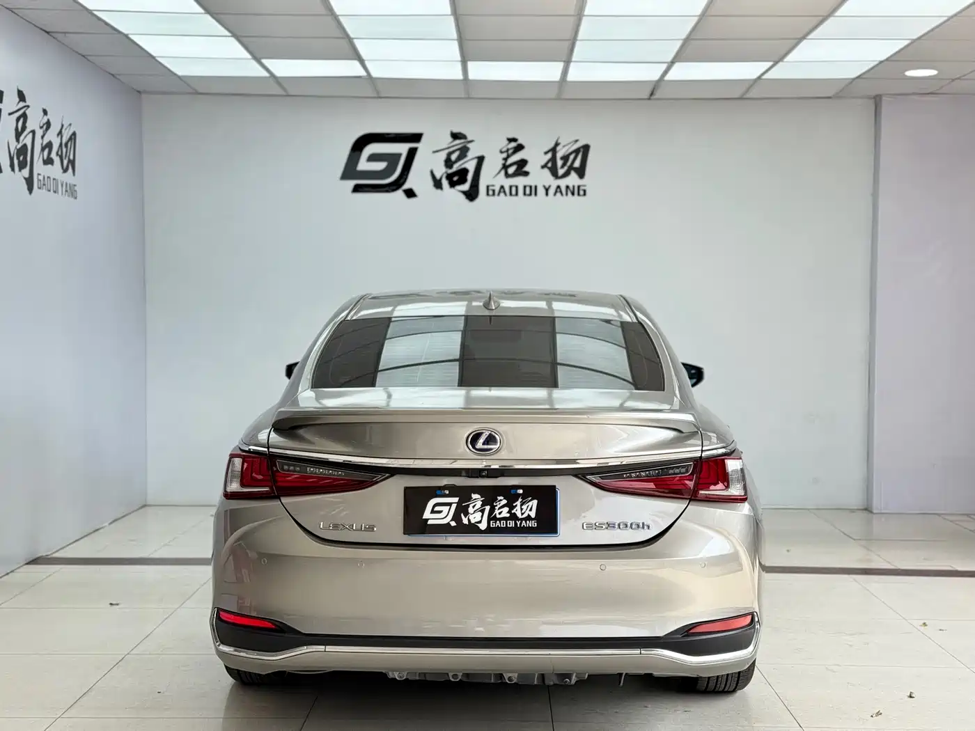 Lexus ES 2020 Model 300h Excellence Edition фото 26