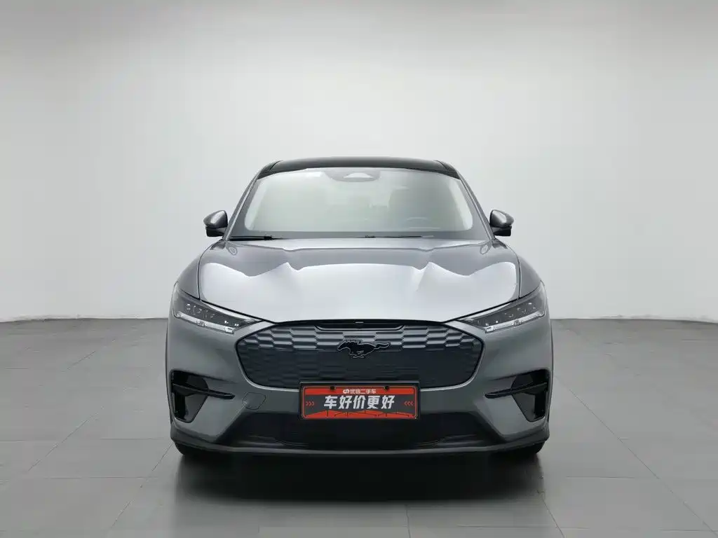 Ford Mustang Mach-E, миниатюра 3