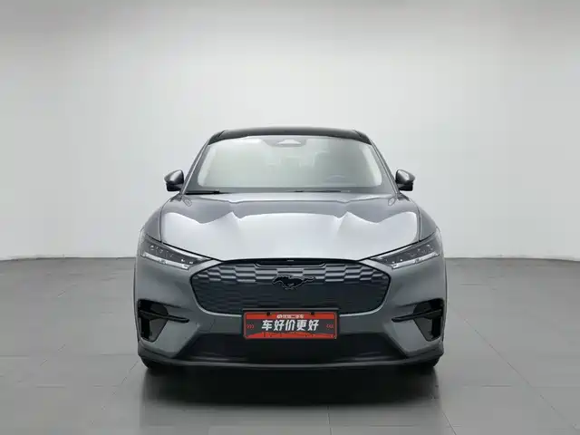 Ford Mustang Mach-E 2021 Leap World RWD (Standard Range) — фото 3