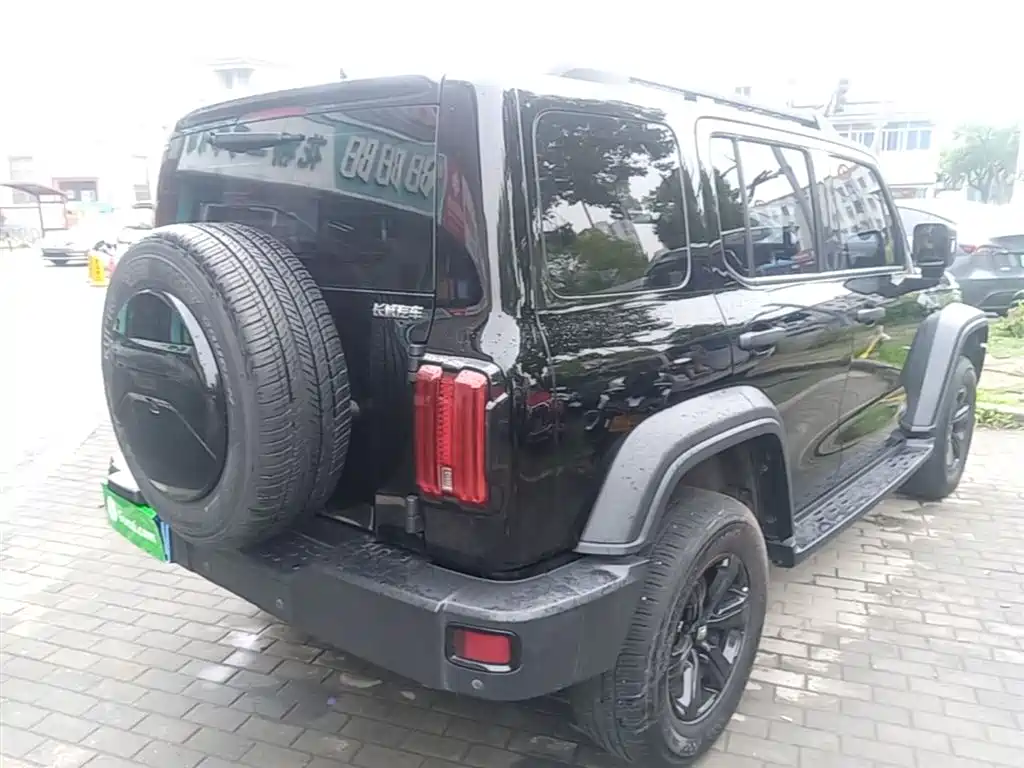 Tank 300 2023 Off-Road Edition 2.0T Conqueror фото 7