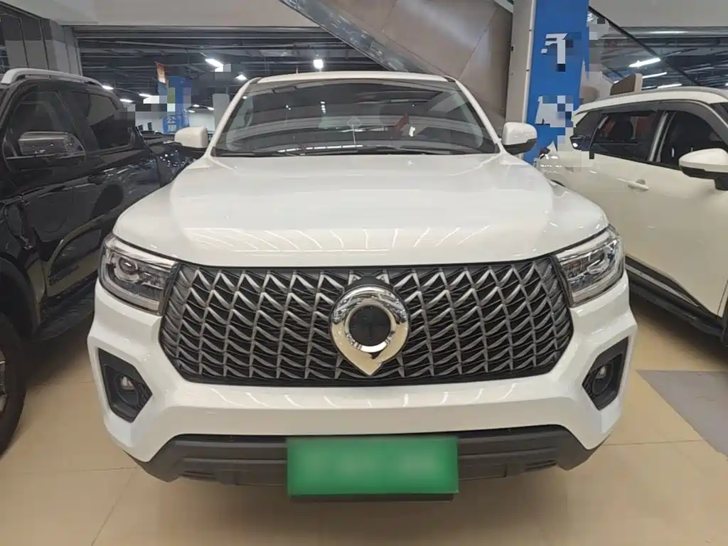 Great Wall Pao 2025 2024 Model 2.4T Commercial Version Automatic Diesel 4WD Elite Type