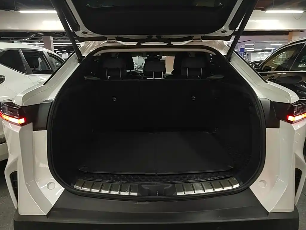 Lexus RZ 2024 2023 450e 4WD Deluxe