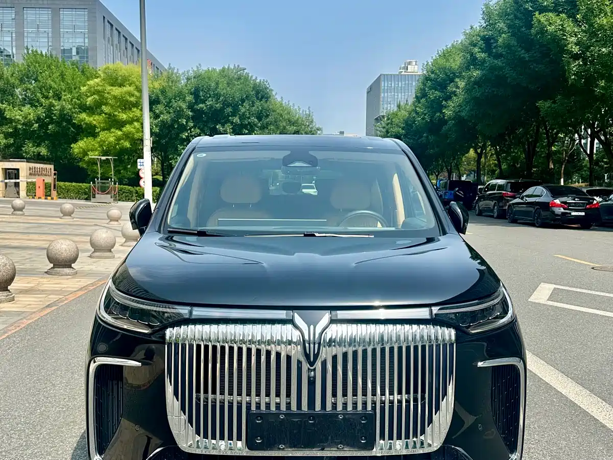 Voyah Auto Voyah Dreamer 2025 PHEV AWD Flagship Kunpeng Edition фото 2