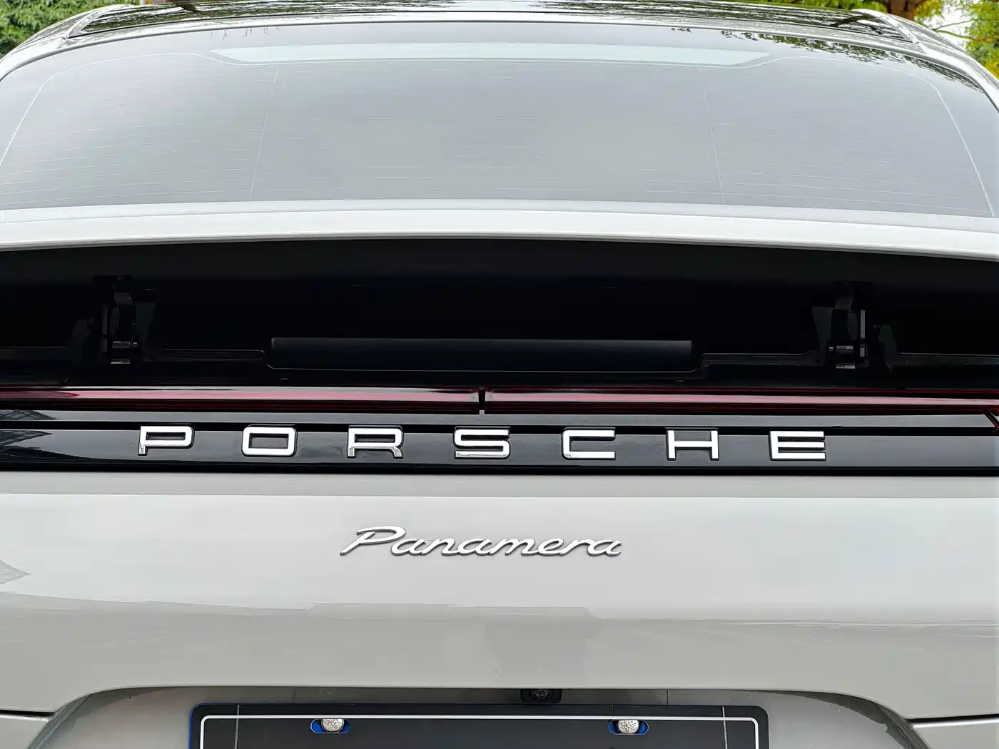 Porsche Panamera 2019 Panamera 2.9T фото 32