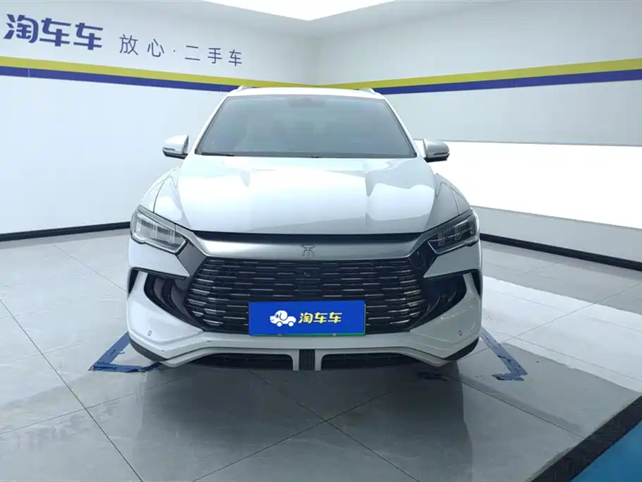 BYD Song Pro New Energy 2024 Glory Edition DM-i 71KM Pilot фото 2