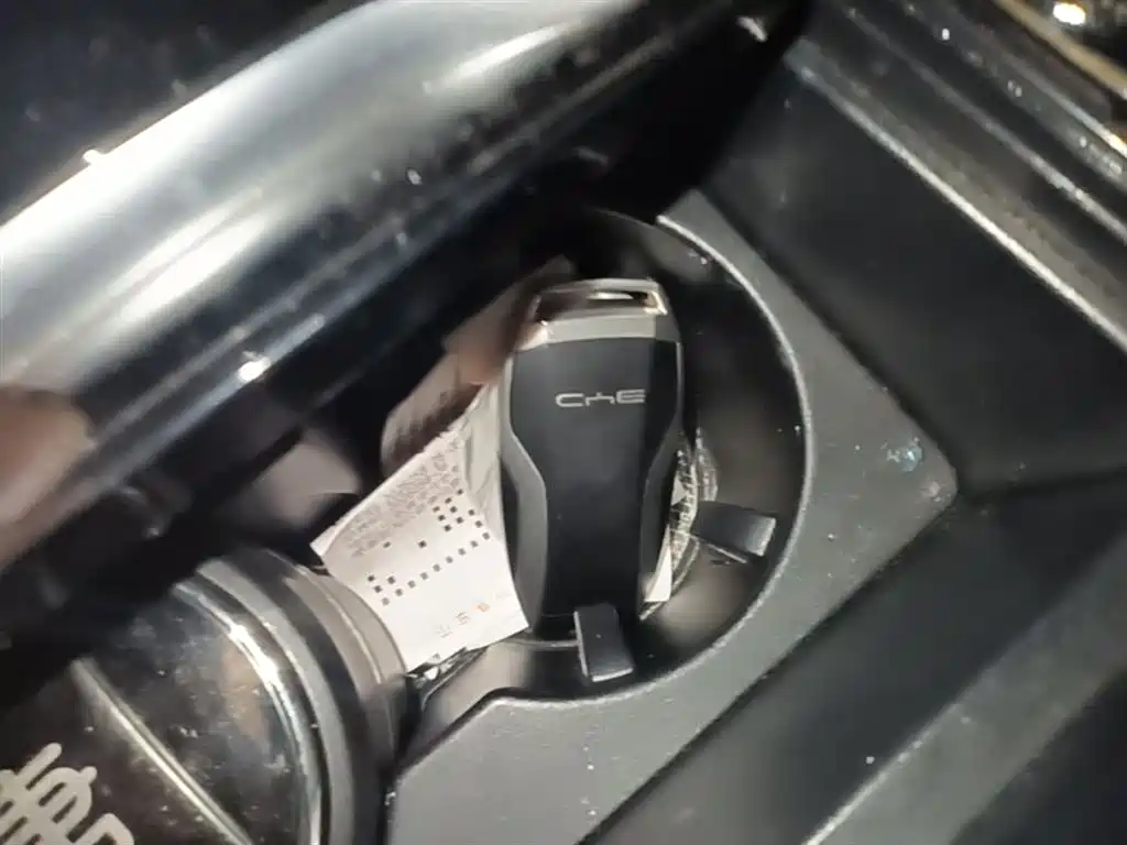 BYD Tang New Energy 2021 DM-i 112KM Premium фото 9