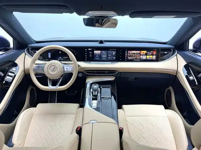 Voyah Auto VOYAH FREE 2021 AWD Standard Range Extender Exclusive Luxury Package фото 8