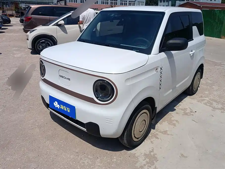 Geely Galaxy Panda 2023 Panda Mini 200km Endurance Bear